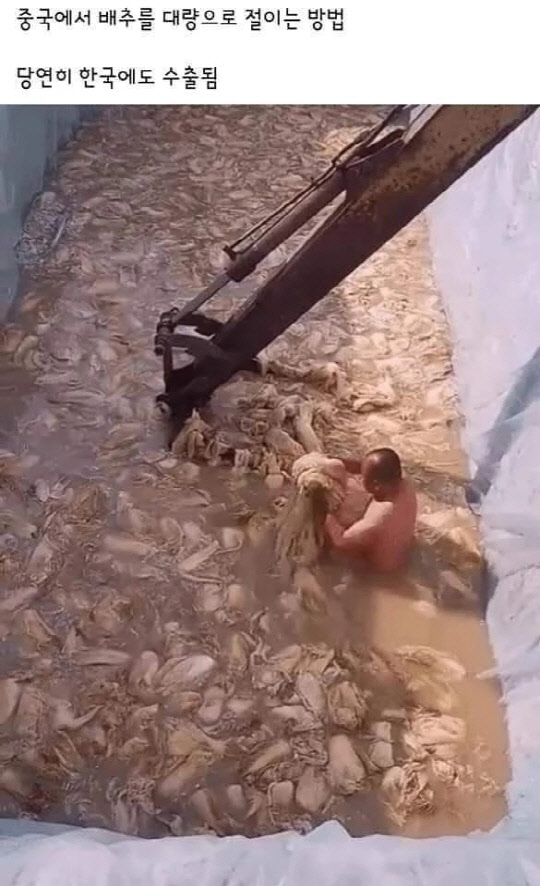 <온라인 커뮤니티>